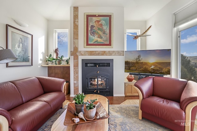 living room featuring hardwood / wood-style floors