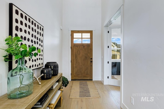 entrance foyer featuring light hardwood / wood-style flooring