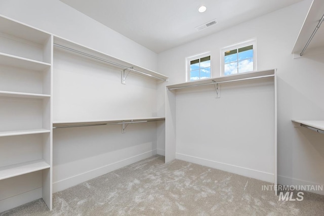 walk in closet featuring light colored carpet