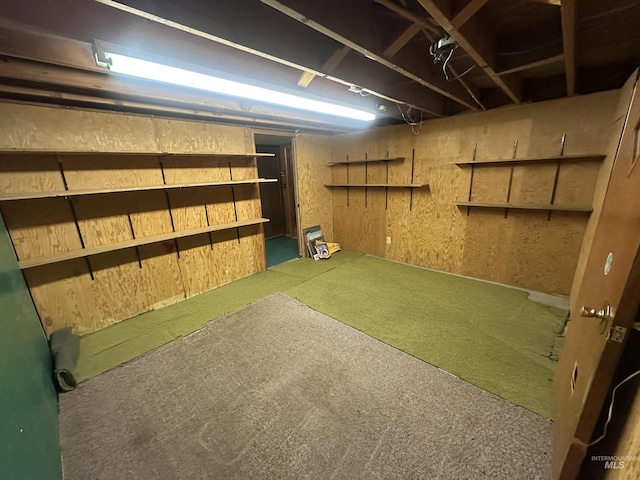 basement with carpet floors