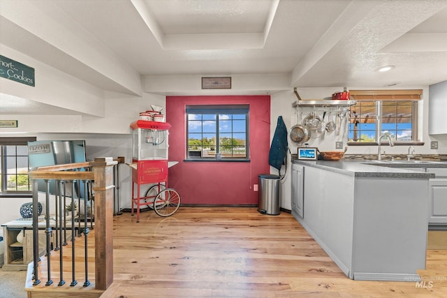 interior space with light wood-style floors, plenty of natural light, and a sink