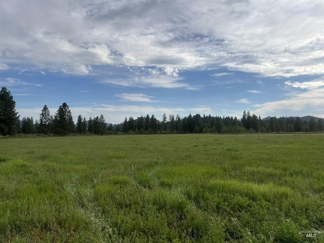 view of local wilderness with a rural view