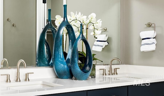 interior space with a sink and double vanity