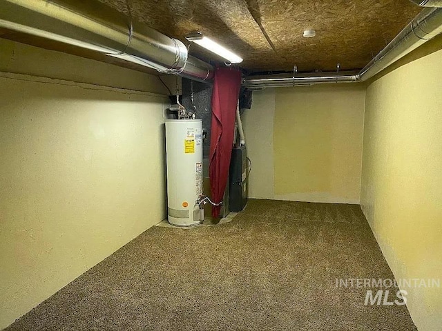 604 Monte Vis, Twin Falls, ID 83301 - finished basement featuring gas water heater, carpet flooring, and heating unit