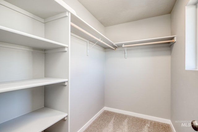 3542 W Littleton Dr, Meridian, ID 83642 - walk in closet featuring carpet floors