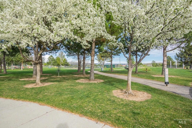6460 S Lodgepole Pl, Boise, ID 83716 - view of surrounding community