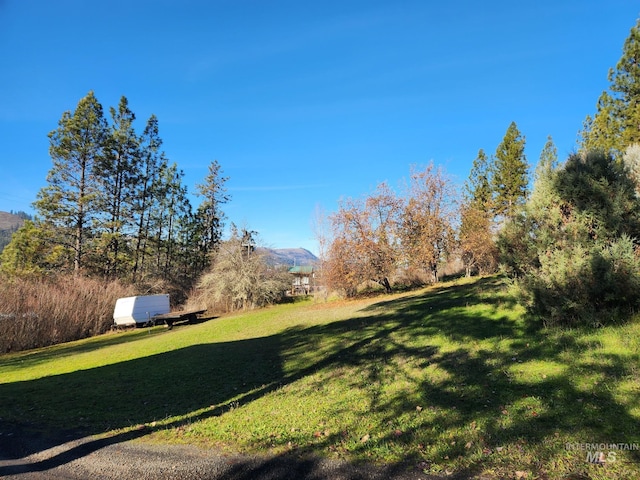 view of yard with a mountain view