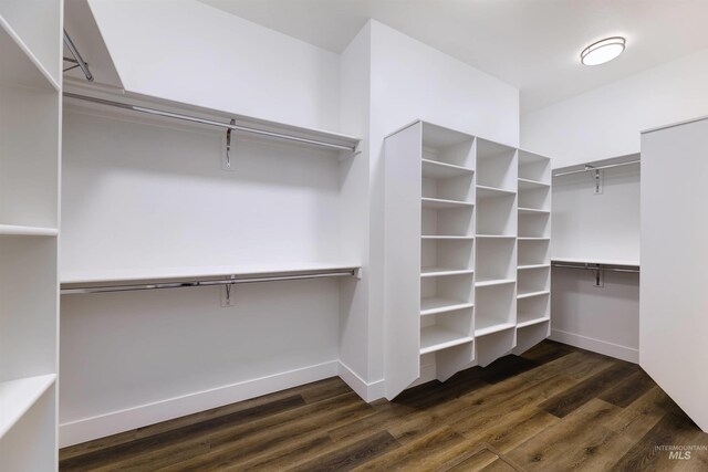 walk in closet featuring dark wood-style floors