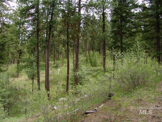 10846 Callender Rd, Cascade, ID 83611