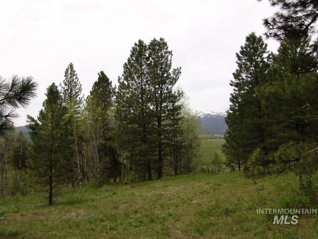 10846 Callender Rd, Cascade, ID 83611