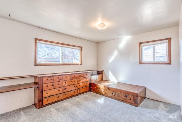 412 N Purdue St, Boise, ID 83706 - view of carpeted bedroom
