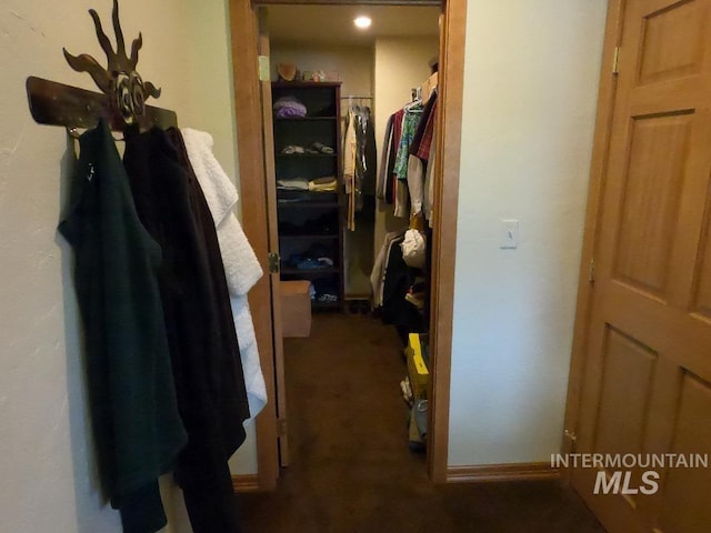 204 S 2nd St, Elk River, ID 83827 - spacious closet with carpet