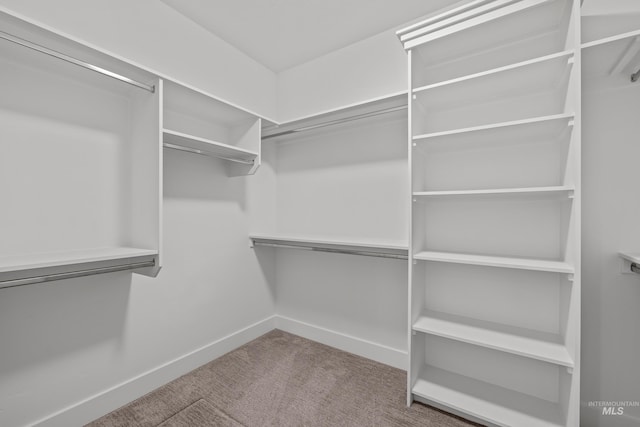 spacious closet with carpet flooring