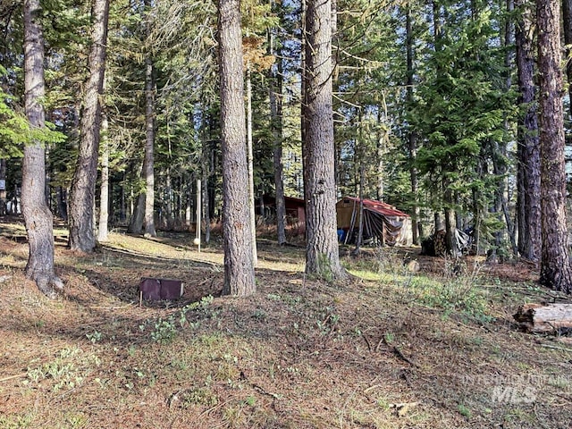 view of yard featuring a wooded view