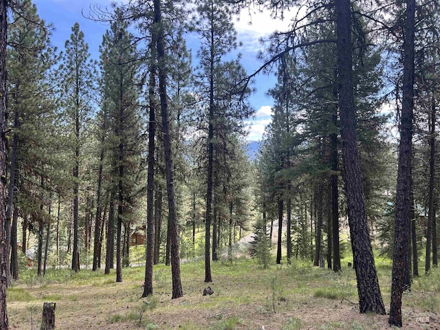 Syringa Dr, New Meadows, ID 83654