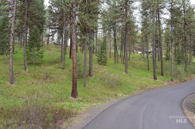 Syringa Dr, New Meadows, ID 83654