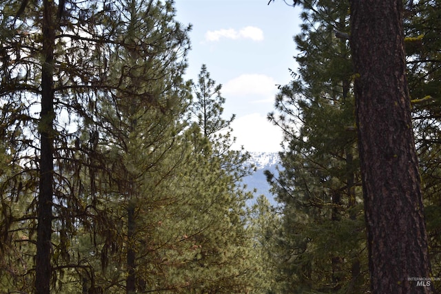 Syringa Dr, New Meadows, ID 83654