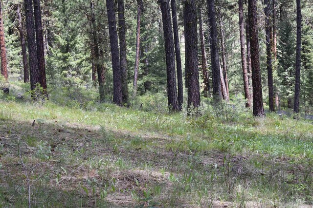 Syringa Dr, New Meadows, ID 83654