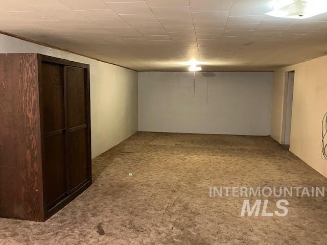 basement with carpet floors