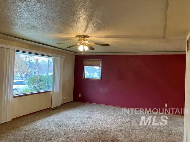 spare room featuring carpet, a textured ceiling, and a healthy amount of sunlight