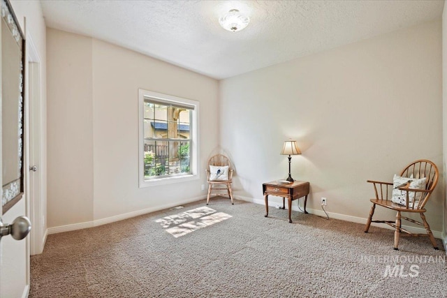 12970 N 9th Ave, Boise, ID 83714 - living area with carpet, baseboards, and a textured ceiling