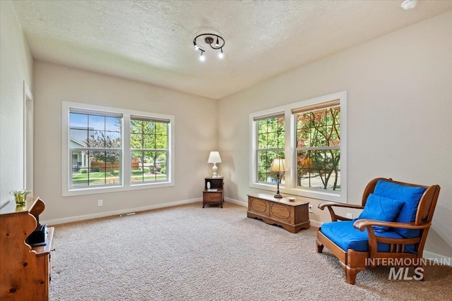 12970 N 9th Ave, Boise, ID 83714 - living area featuring carpet, baseboards, and a textured ceiling