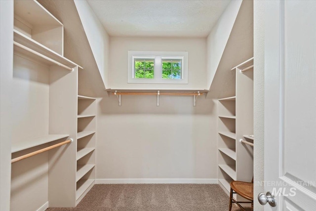 12970 N 9th Ave, Boise, ID 83714 - spacious closet with carpet floors
