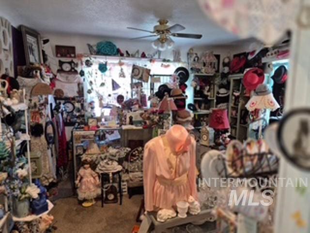 504 E Grove Ave, Parma, ID 83660 - miscellaneous room with ceiling fan and carpet