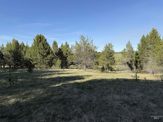 TBD Stevens Rd, Winchester, ID 83555
