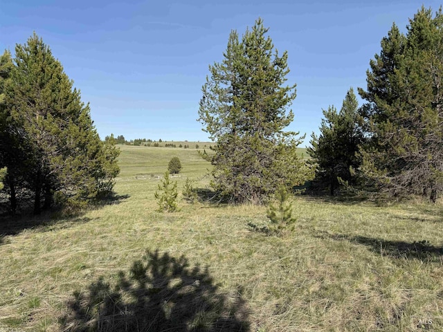 TBD Stevens Rd, Winchester, ID 83555
