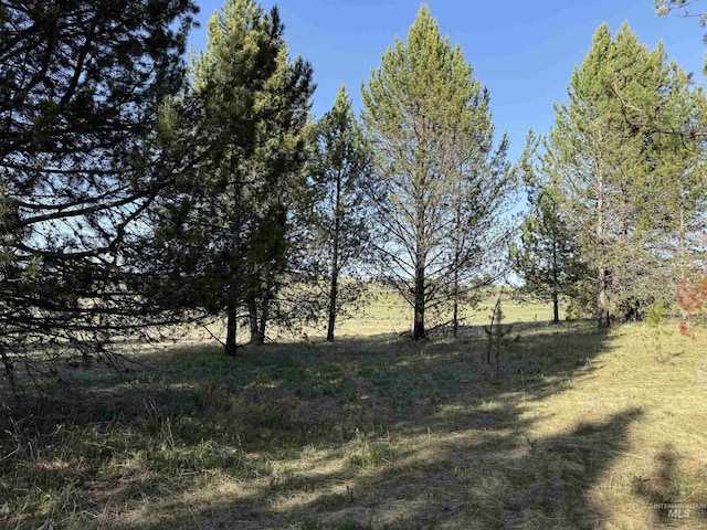 TBD Stevens Rd, Winchester, ID 83555