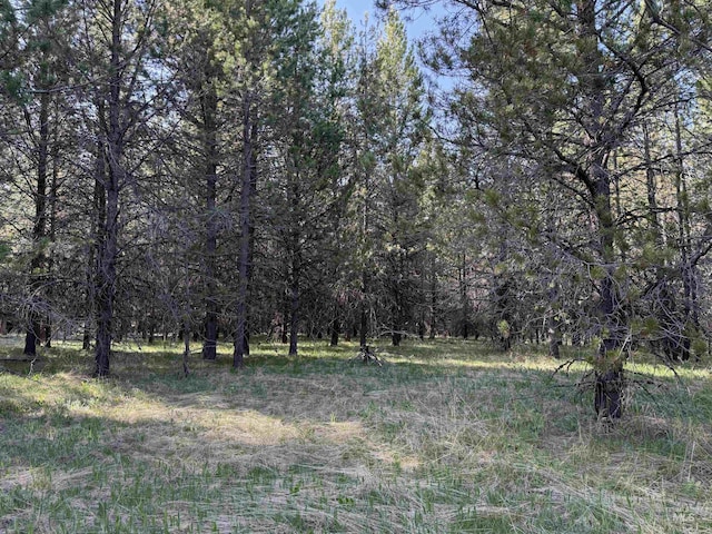 TBD Stevens Rd, Winchester, ID 83555