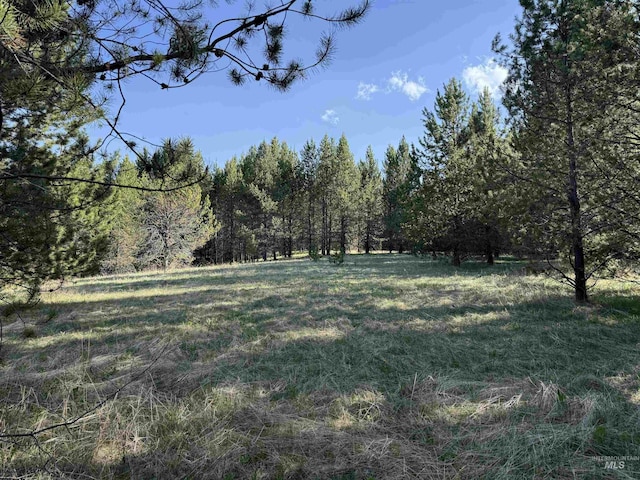 TBD Stevens Rd, Winchester, ID 83555