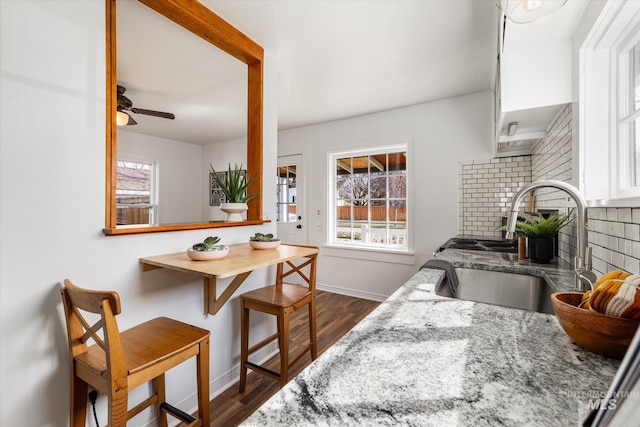 kitchen with dark wood-type flooring, baseboards, tasteful backsplash, and a sink