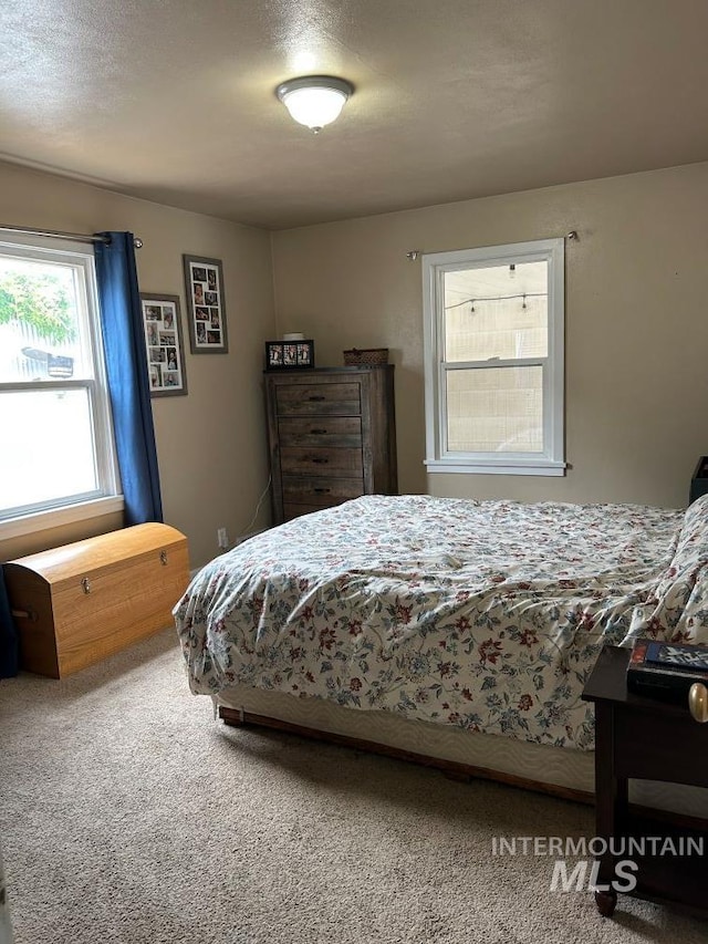 1527 13th Ave, Lewiston, ID 83501 - view of carpeted bedroom