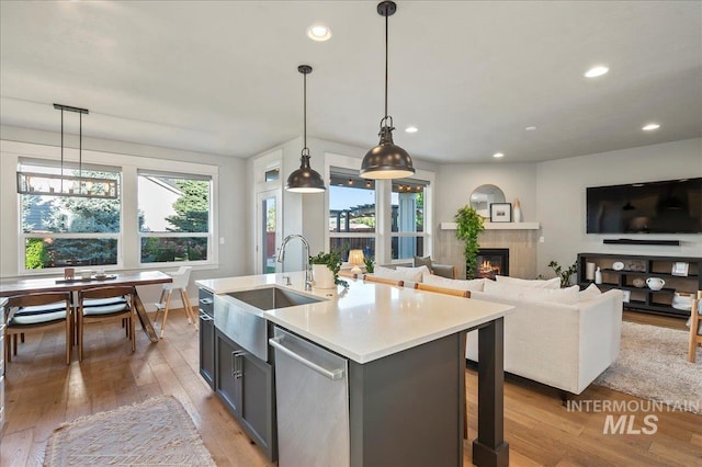 kitchen with a wealth of natural light, a sink, light wood finished floors, and stainless steel dishwasher