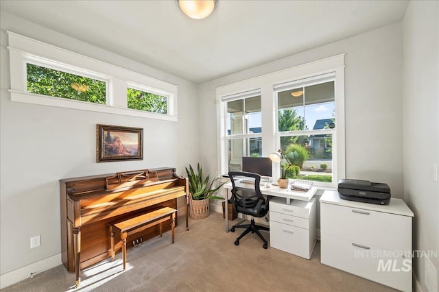 office area with light colored carpet