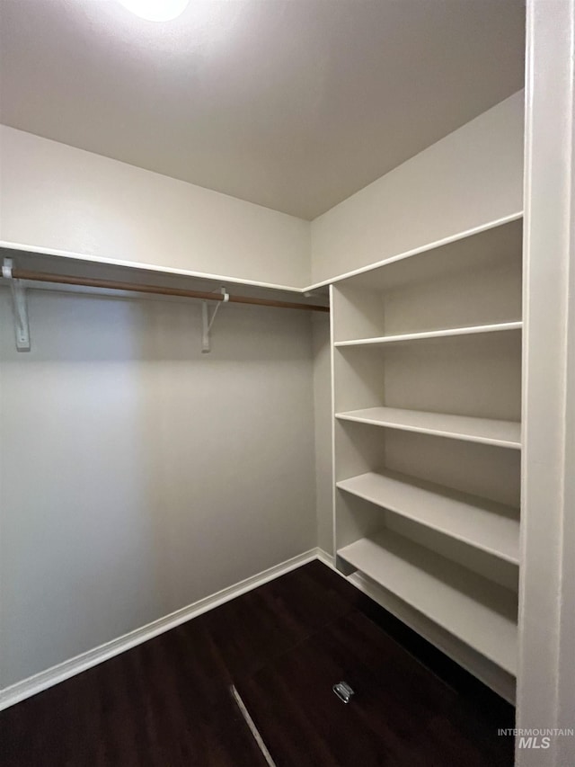 spacious closet featuring dark wood-style flooring