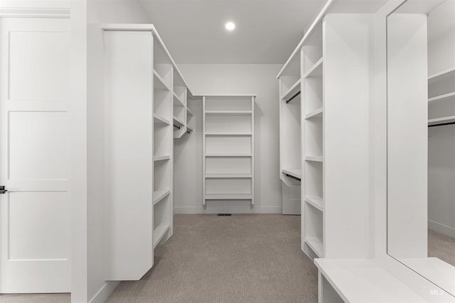 875 Creekwater, Eagle, ID 83616 - walk in closet with carpet flooring