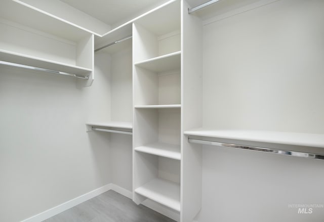 walk in closet featuring light wood finished floors