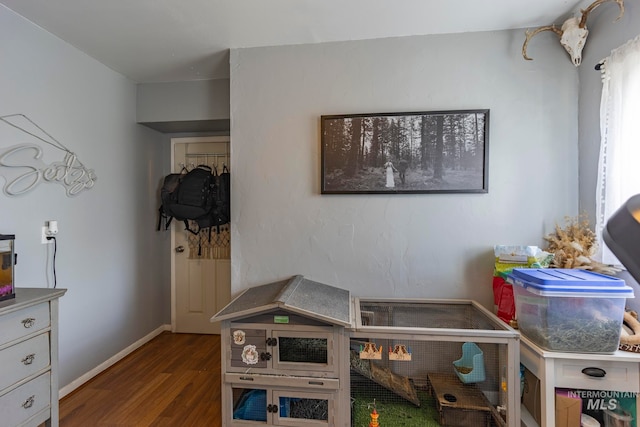 bedroom featuring dark hardwood / wood-style flooring