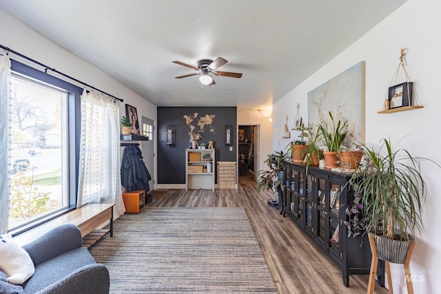 living room with ceiling fan and wood-type flooring