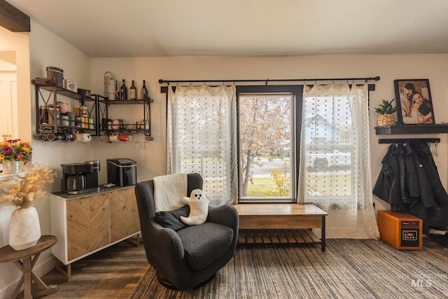 living area featuring wood-type flooring