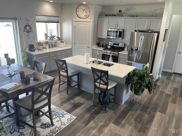 kitchen with light countertops, gray cabinetry, dark wood-style flooring, and stainless steel appliances