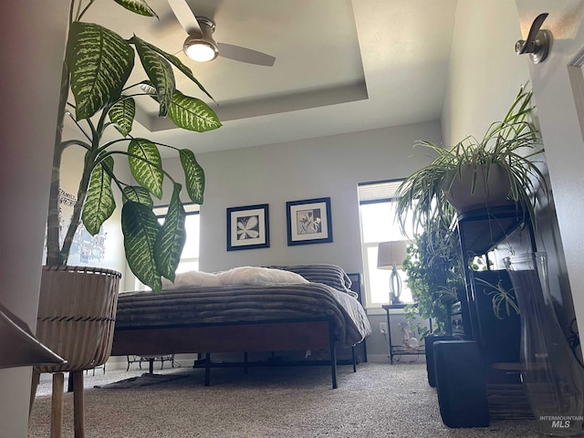 carpeted bedroom featuring a raised ceiling