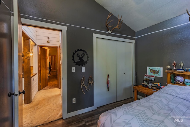 bedroom featuring lofted ceiling, dark hardwood / wood-style flooring, and a closet