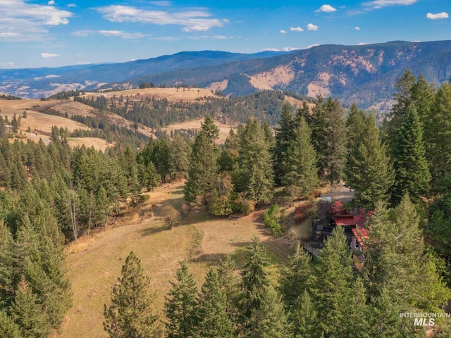 birds eye view of property with a mountain view