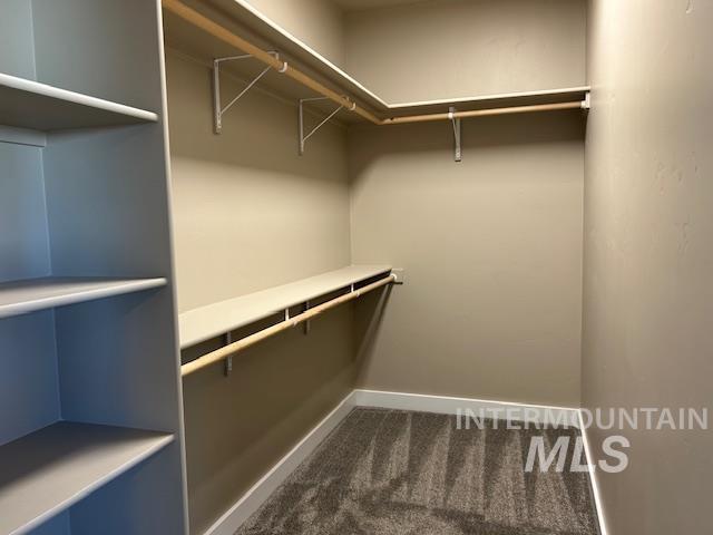 walk in closet featuring dark colored carpet