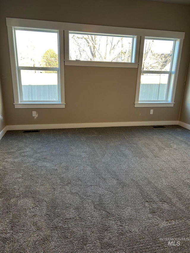 empty room featuring carpet