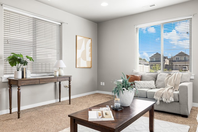 11661 W Baserri, Boise, ID 83709 - carpeted living room featuring baseboards